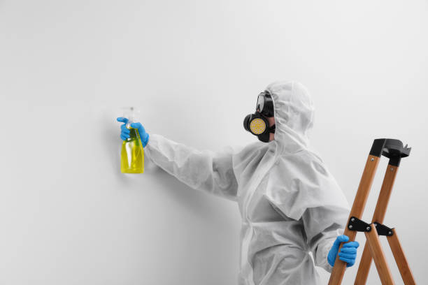 Why You Should Choose Our Mold Remediation Services in Calverton, MD