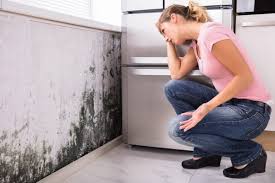 Best HVAC Mold Inspection and Cleaning in Calverton, MD